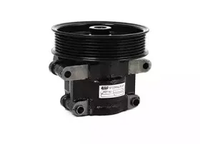 BSG 30-355-002 BSG Гидравлический насос, рулевое управление